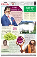 PAGE-8