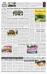 PAGE-B